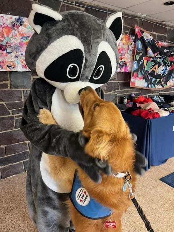  Robbie Raccoon and Tango the therapy dog